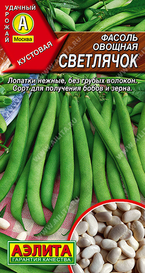 ������ ������� ��������� - ����