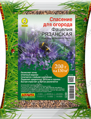Фацелия Рязанская - фото Фацелия Рязанская - фото