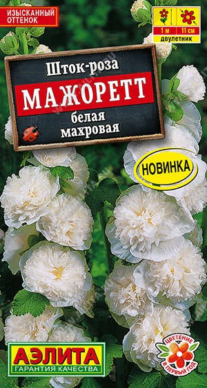 Шток-роза Мажоретт белая махровая - фото Шток-роза Мажоретт белая махровая - фото
