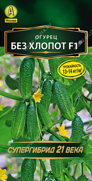   F1  - 