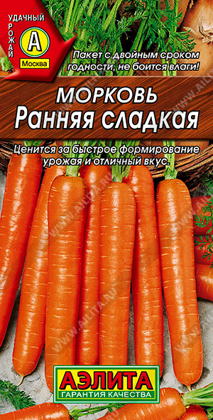 Морковь Ранняя сладкая - фото