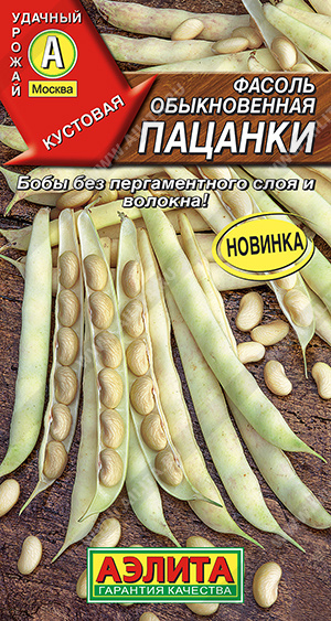 Фасоль обыкновенная Пацанки - фото Фасоль обыкновенная Пацанки - фото