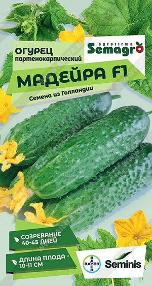   F1 - 