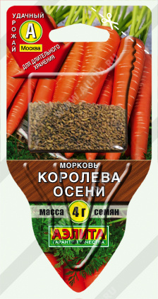 Морковь Королева осени - фото