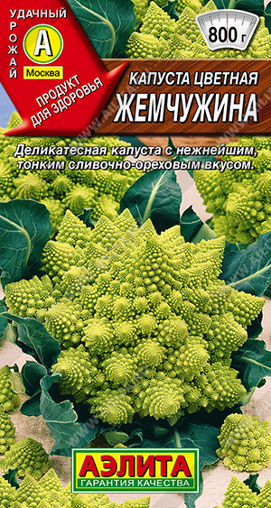 Капуста цветная Жемчужина - фото Капуста цветная Жемчужина - фото