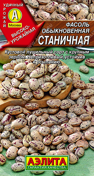 ������ ������������ ��������� - ����