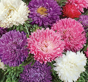 ����� ��������� ���������������� �����������, ����� ������ - ����