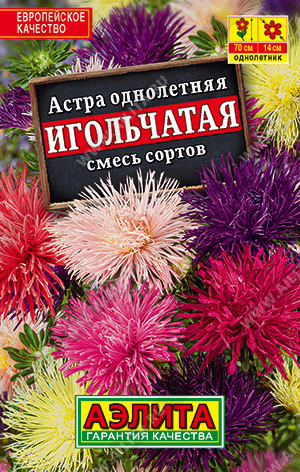 Астра Игольчатая, смесь сортов - фото