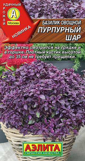 Базилик овощной Пурпурный шар - фото
