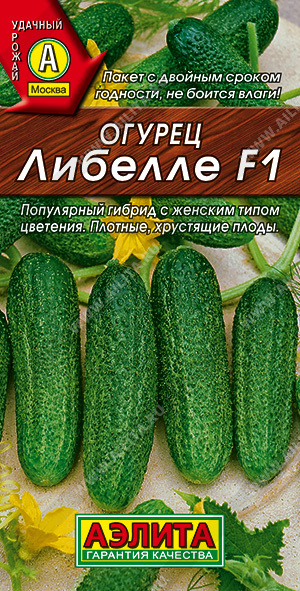   F1 - 