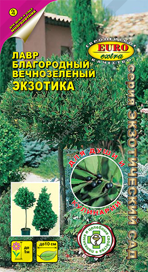 ���� �������� ������������ - ����