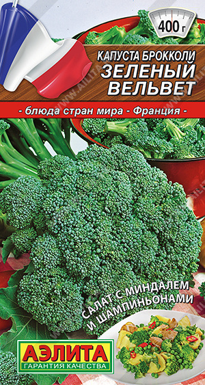 Капуста брокколи Зеленый вельвет - фото Капуста брокколи Зеленый вельвет - фото