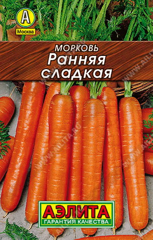 Морковь Ранняя сладкая - фото