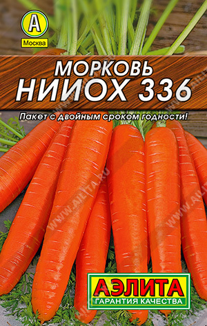 Морковь НИИОХ 336 - фото