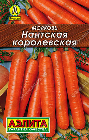 Морковь Нантская королевская - фото