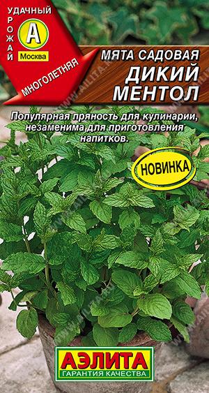 Мята садовая Дикий ментол - фото Мята садовая Дикий ментол - фото