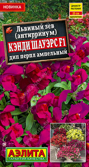 Львиный зев Кэнди Шауэрс F1 дип перпл ампельный - фото Львиный зев Кэнди Шауэрс F1 дип перпл ампельный - фото