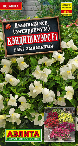 Львиный зев Кэнди Шауэрс F1 вайт ампельный - фото Львиный зев Кэнди Шауэрс F1 вайт ампельный - фото