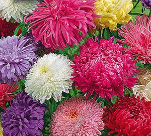 ����� ��������� ����� ��������� ������ - ����