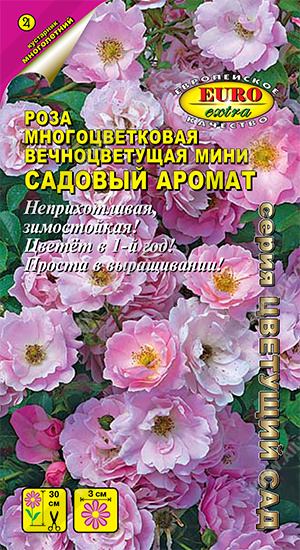 ���� ������� ������ �������������� - ����