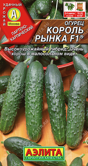   F1  - 