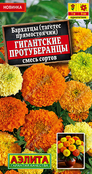 Бархатцы Гигантские протуберанцы прямостоячие, смесь сортов - фото Бархатцы Гигантские протуберанцы прямостоячие, смесь сортов - фото