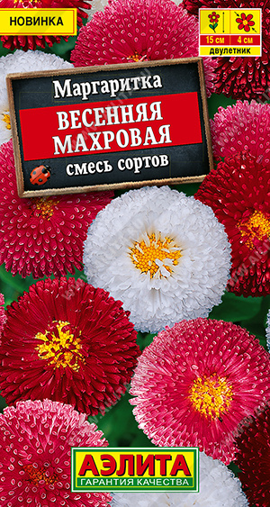 Маргаритка Весенняя махровая, смесь сортов - фото