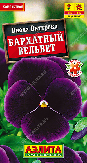 Виола Бархатный вельвет - фото Виола Бархатный вельвет - фото