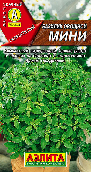 Базилик овощной Мини - фото Базилик овощной Мини - фото