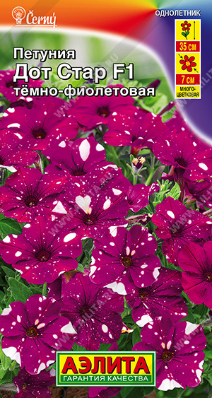 Петуния Дот Стар F1 темно-фиолетовая - фото Петуния Дот Стар F1 темно-фиолетовая - фото