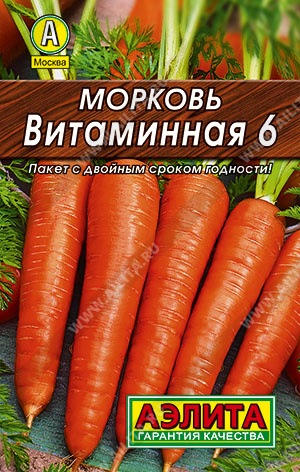   6 - 