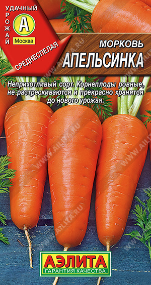 Морковь Апельсинка - фото