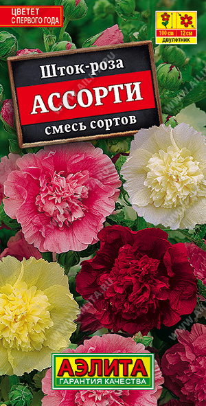 ����-���� �������, ����� ������ - ����