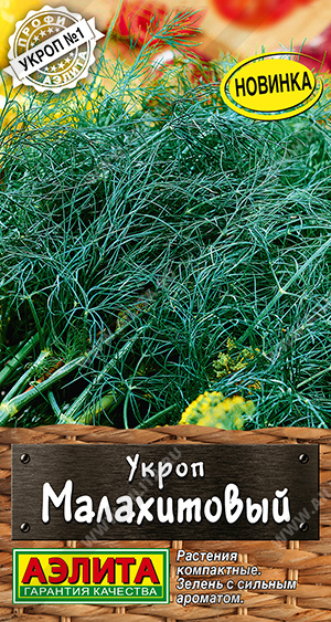 Укроп Малахитовый - фото Укроп Малахитовый - фото