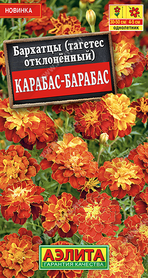 Бархатцы Карабас-Барабас отклоненные - фото