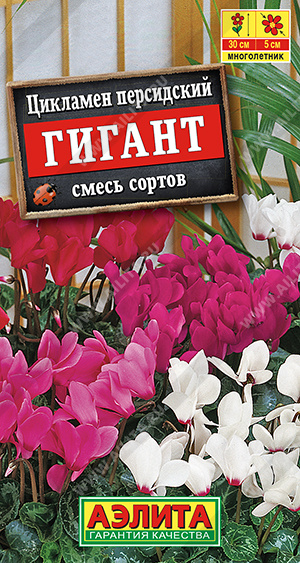 �������� ���������� ������, ����� ������ - ����