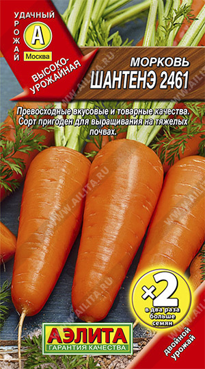 Морковь Шантенэ 2461  - фото