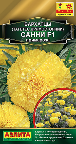   F1   - 