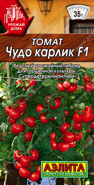    F1 - 