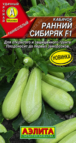     F1 - 