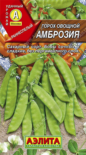 Горох овощной Амброзия - фото
