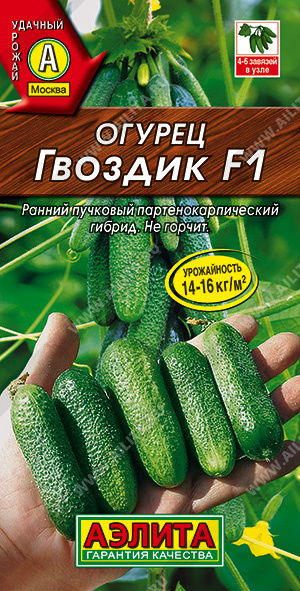  F1 - 