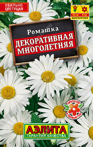 Ромашка Декоративная многолетняя - фото Ромашка Декоративная многолетняя - фото