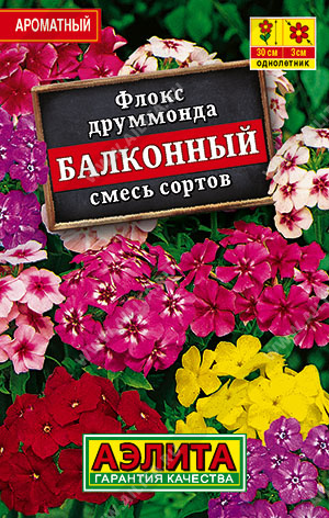 Флокс друммонда Балконный, смесь сортов - фото Флокс друммонда Балконный, смесь сортов - фото