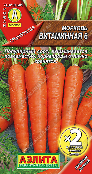   6 - 