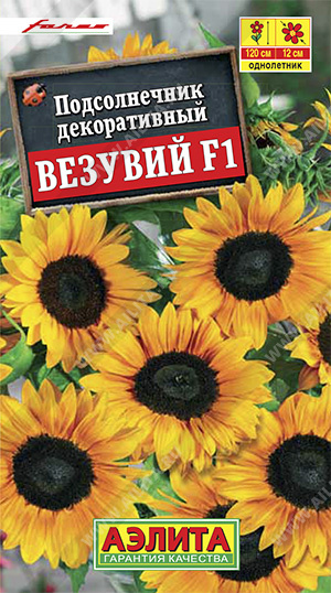    F1 - 