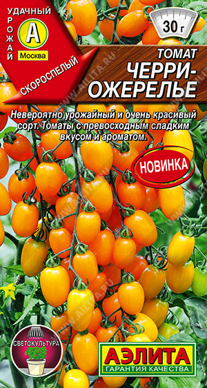 Томат Черри-ожерелье - фото