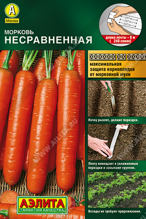 Морковь Несравненная - фото
