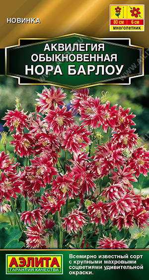 Аквилегия Нора Барлоу - фото