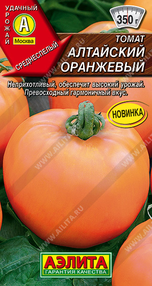 Томат Алтайский оранжевый - фото